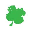 shamrock copy.jpg